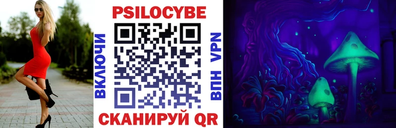 Галлюциногенные грибы Psilocybe  где купить наркоту  Выборг 