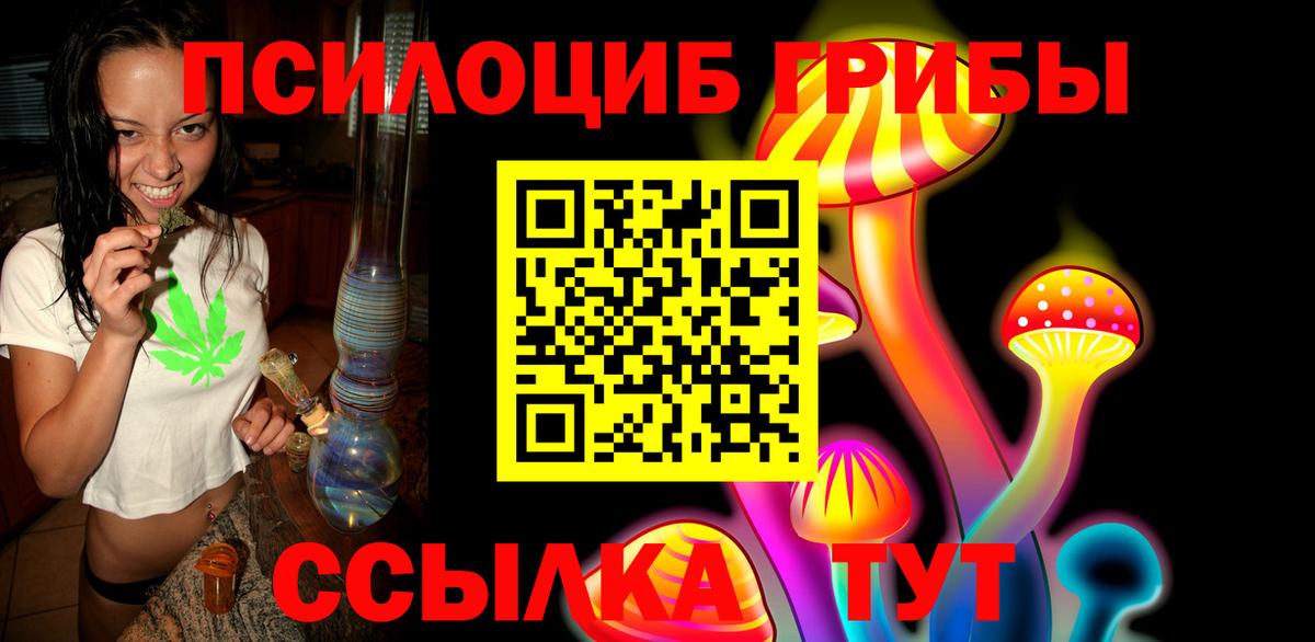 Псилоцибиновые грибы Psilocybine cubensis  купить наркотик  Выборг 