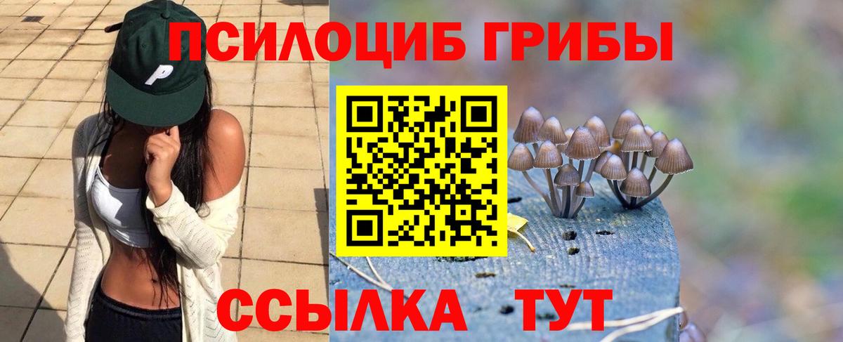 Псилоцибиновые грибы прущие грибы Выборг