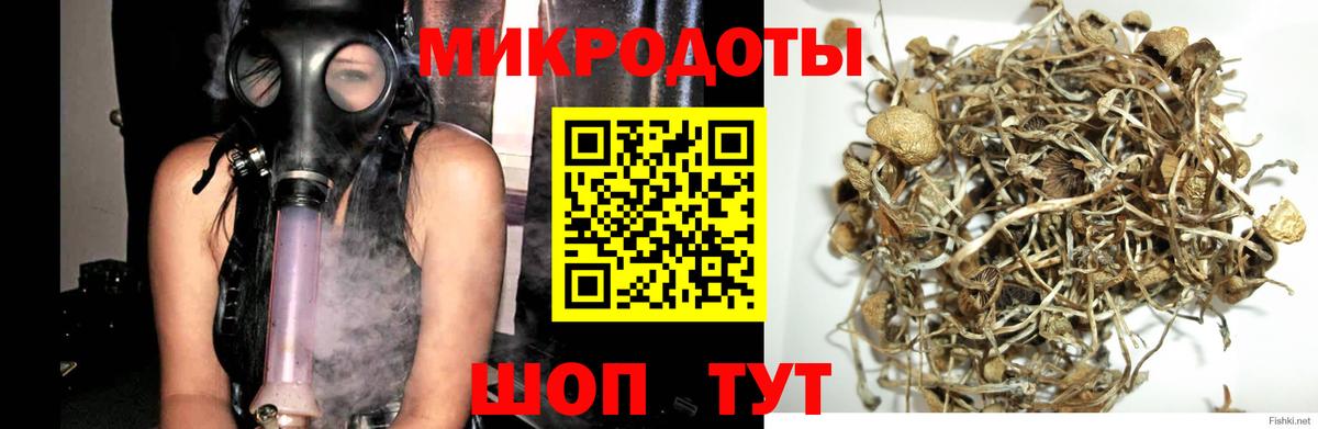 Выборг  Галлюциногенные грибы прущие грибы  Псилоцибиновые грибы прущие грибы  Вход с VPN 